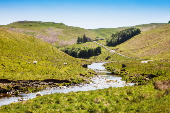 CHEVIOTS-CHALLENGE - LONG WALK